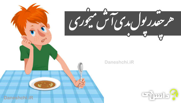 مفهوم ضرب المثل هر چقدر پول بدی آش می خوری